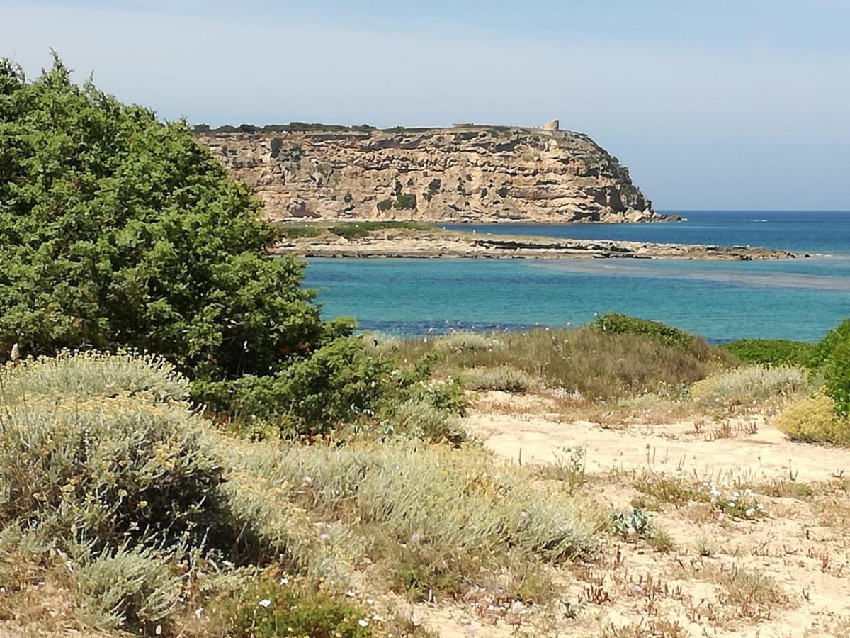 Agriturismo Il Melograno Riola Sardo Eksteriør billede