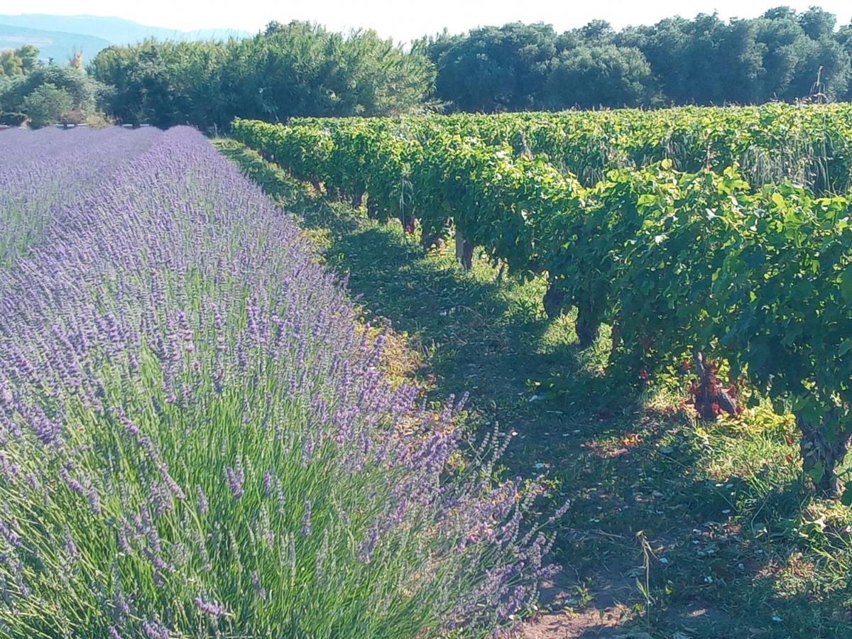 Agriturismo Il Melograno Riola Sardo Eksteriør billede