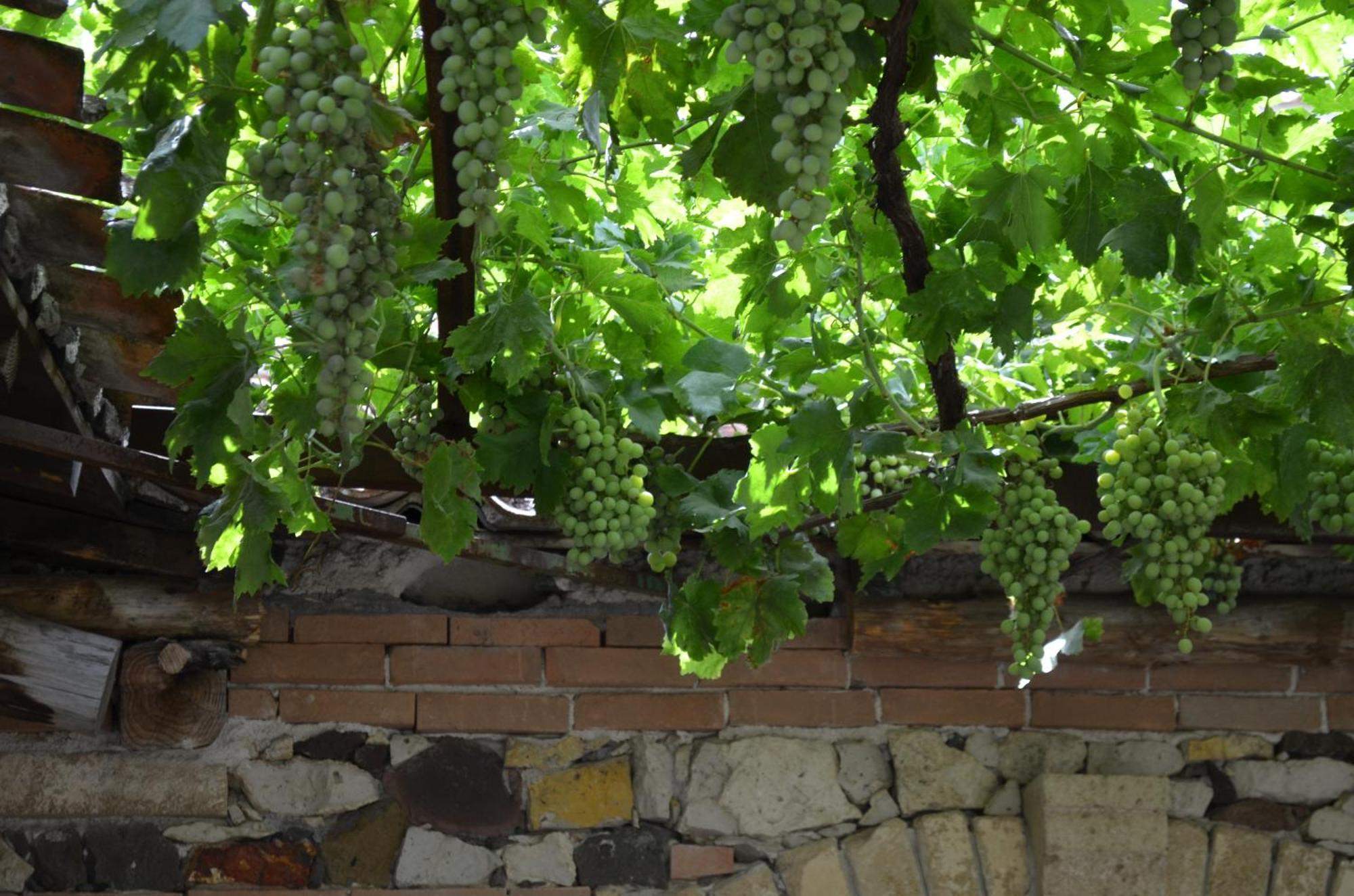 Agriturismo Il Melograno Riola Sardo Eksteriør billede