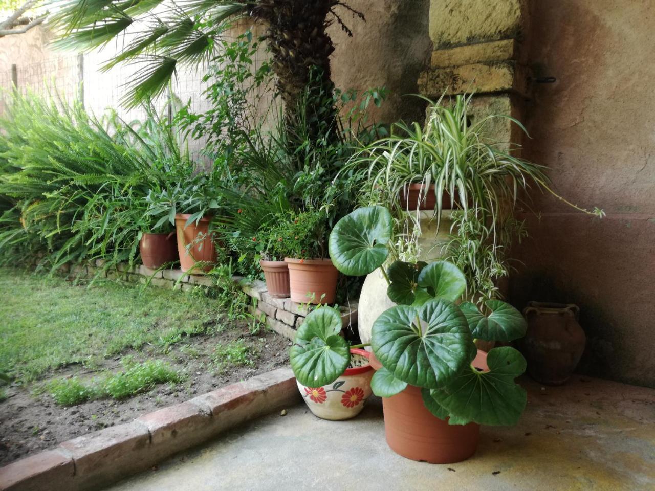 Agriturismo Il Melograno Riola Sardo Eksteriør billede